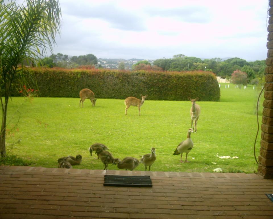 Brenton Lake Holiday Cottages Exterior photo
